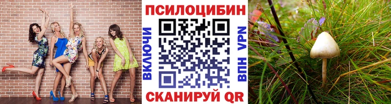 Псилоцибиновые грибы ЛСД  Купить где  Кызыл 