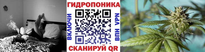 Канабис SATIVA & INDICA  Купить где  Кызыл